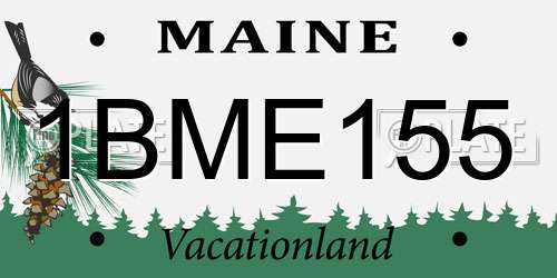 1BME155 Maine License Plate