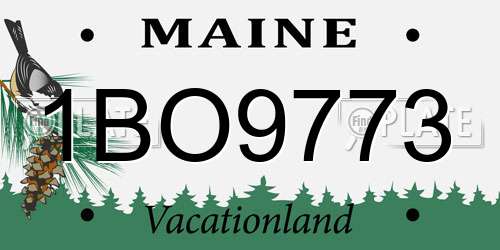 1BO9773 Maine License Plate