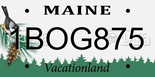 1BOG875 Maine License Plate