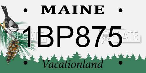 1BP875 Maine License Plate