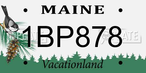 1BP878 Maine License Plate