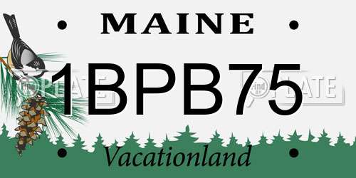 1BPB75 Maine License Plate