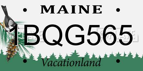 1BQG565 Maine License Plate