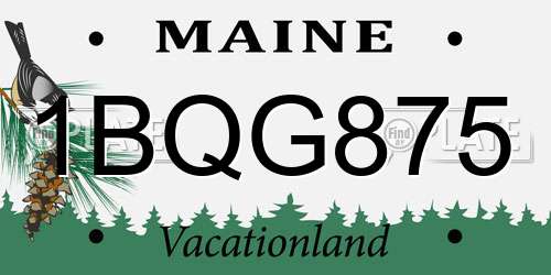 1BQG875 Maine License Plate