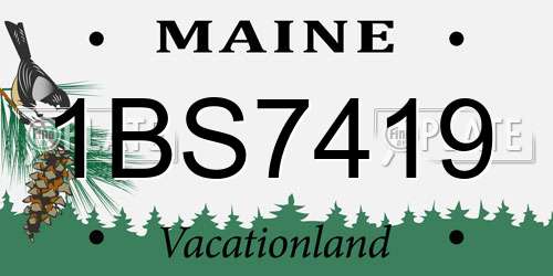 1BS7419 Maine License Plate