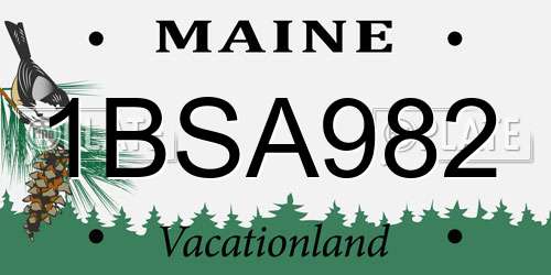 1BSA982 Maine License Plate