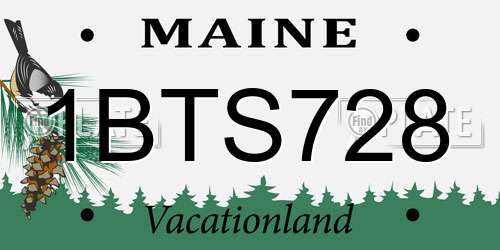 1BTS728 Maine License Plate