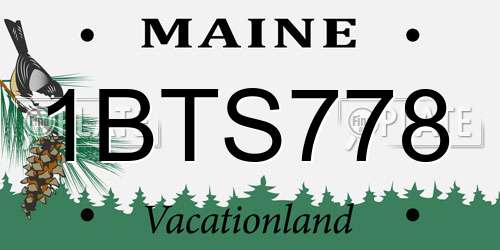 1BTS778 Maine License Plate