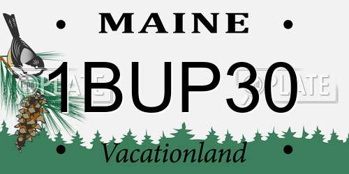 1BUP30 Maine License Plate