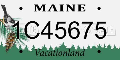 1C45675 Maine License Plate