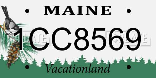 1CC8569 Maine License Plate
