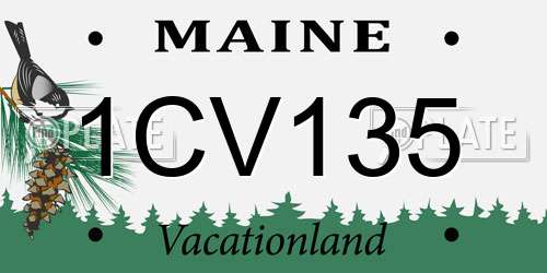 1CV135 Maine License Plate