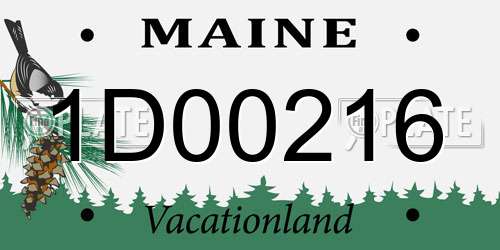 1D00216 Maine License Plate