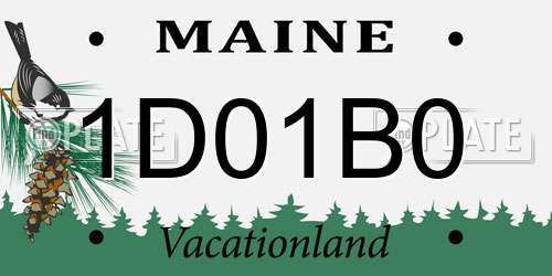 1D01B0 Maine License Plate