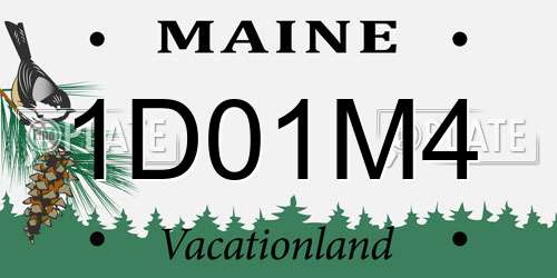 1D01M4 Maine License Plate