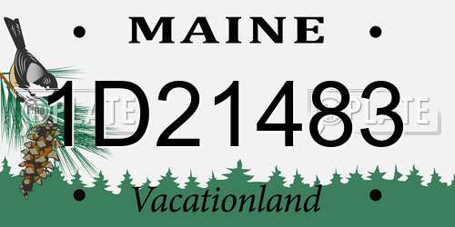 1D21483 Maine License Plate