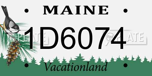 1D6074 Maine License Plate