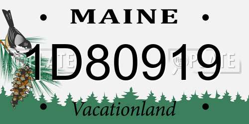 1D80919 Maine License Plate