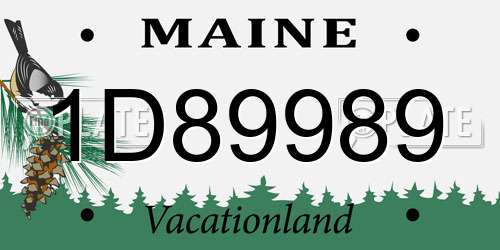 1D89989 Maine License Plate