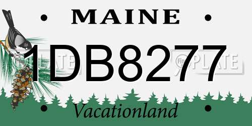1DB8277 Maine License Plate