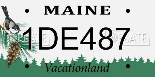 1DE487 Maine License Plate