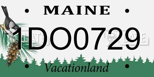 1DO0729 Maine License Plate