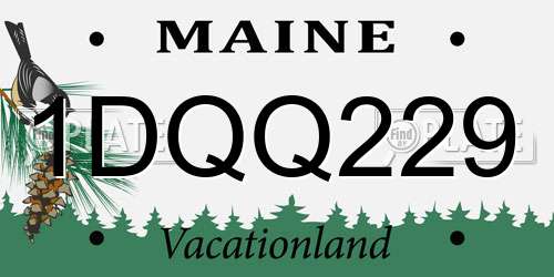1DQQ229 Maine License Plate