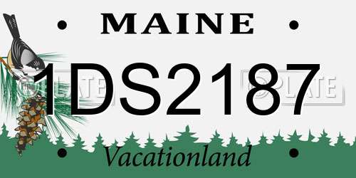 1DS2187 Maine License Plate