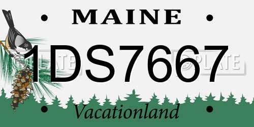 1DS7667 Maine License Plate