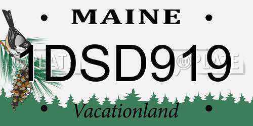 1DSD919 Maine License Plate
