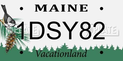 1DSY82 Maine License Plate