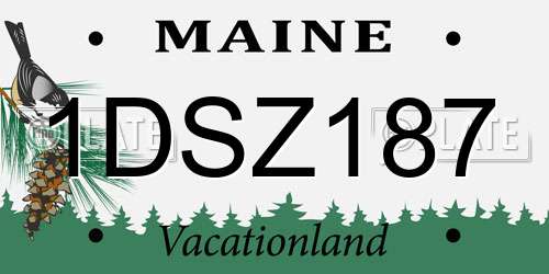 1DSZ187 Maine License Plate