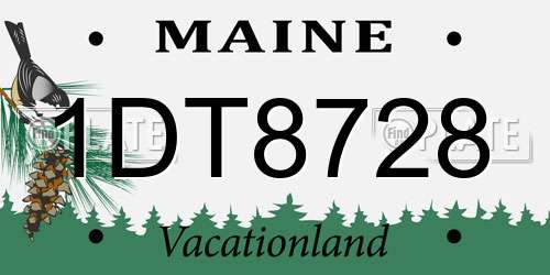 1DT8728 Maine License Plate