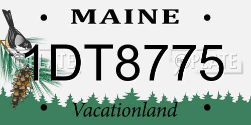 1DT8775 Maine License Plate