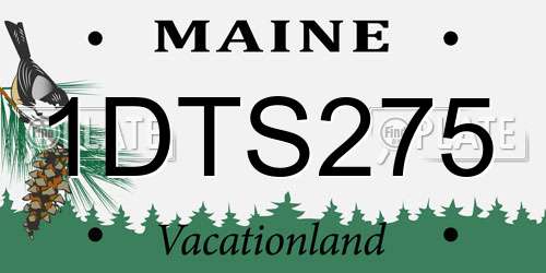 1DTS275 Maine License Plate