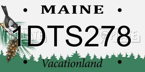 1DTS278 Maine License Plate
