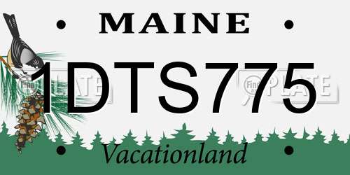 1DTS775 Maine License Plate