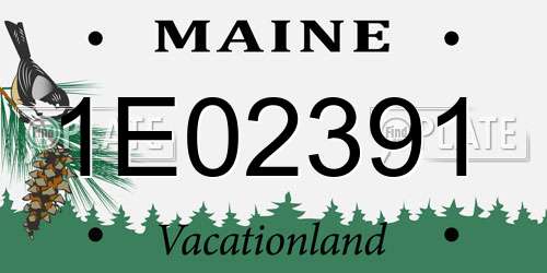 1E02391 Maine License Plate
