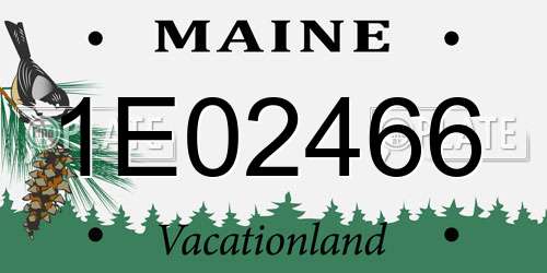1E02466 Maine License Plate