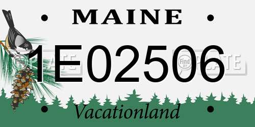 1E02506 Maine License Plate