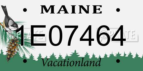 1E07464 Maine License Plate