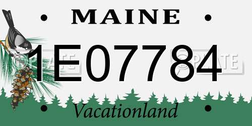 1E07784 Maine License Plate