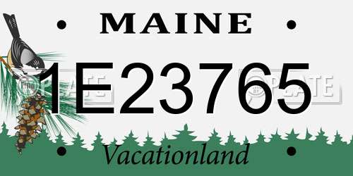 1E23765 Maine License Plate
