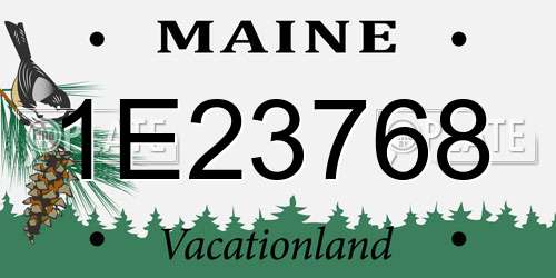 1E23768 Maine License Plate