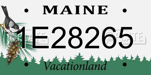 1E28265 Maine License Plate