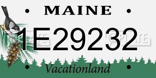 1E29232 Maine License Plate
