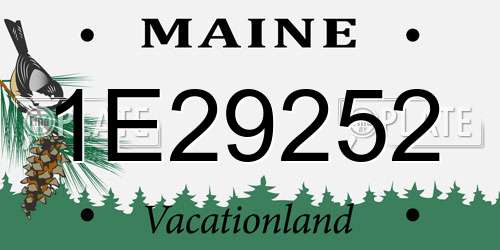 1E29252 Maine License Plate