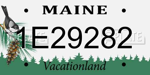 1E29282 Maine License Plate