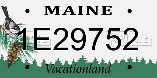 1E29752 Maine License Plate