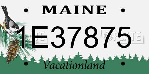 1E37875 Maine License Plate